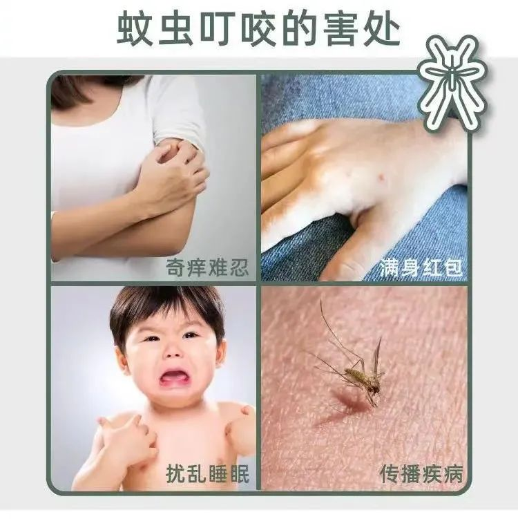 夜不叮驅蚊液，家家必備！安全有效的驅蚊產品，嬰幼兒孕婦全家可用！